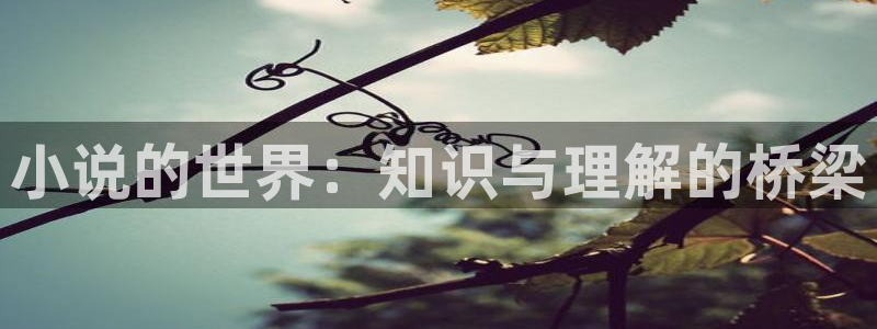 息壤中文：小说的世界：知识与理解的桥梁